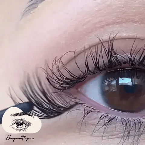 Pachetul 2+1 de 8 Martie